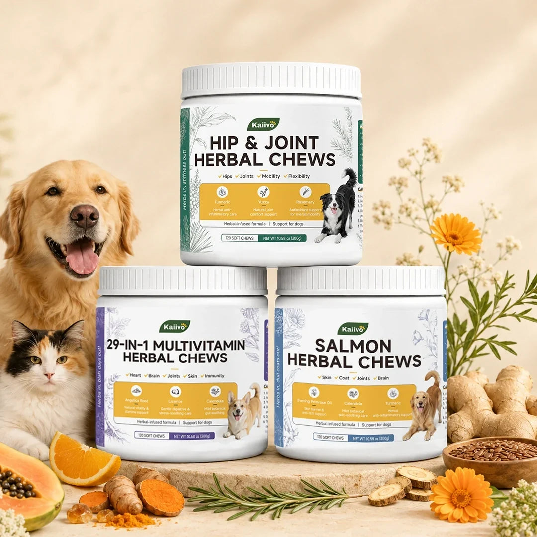 When Should I Start Giving My Dog Supplements?