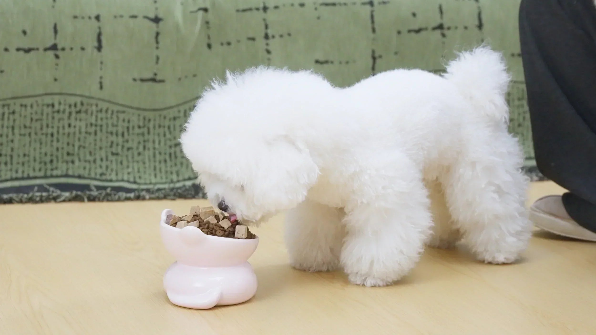 Best Selling Dog Treats for 2026: Top Picks