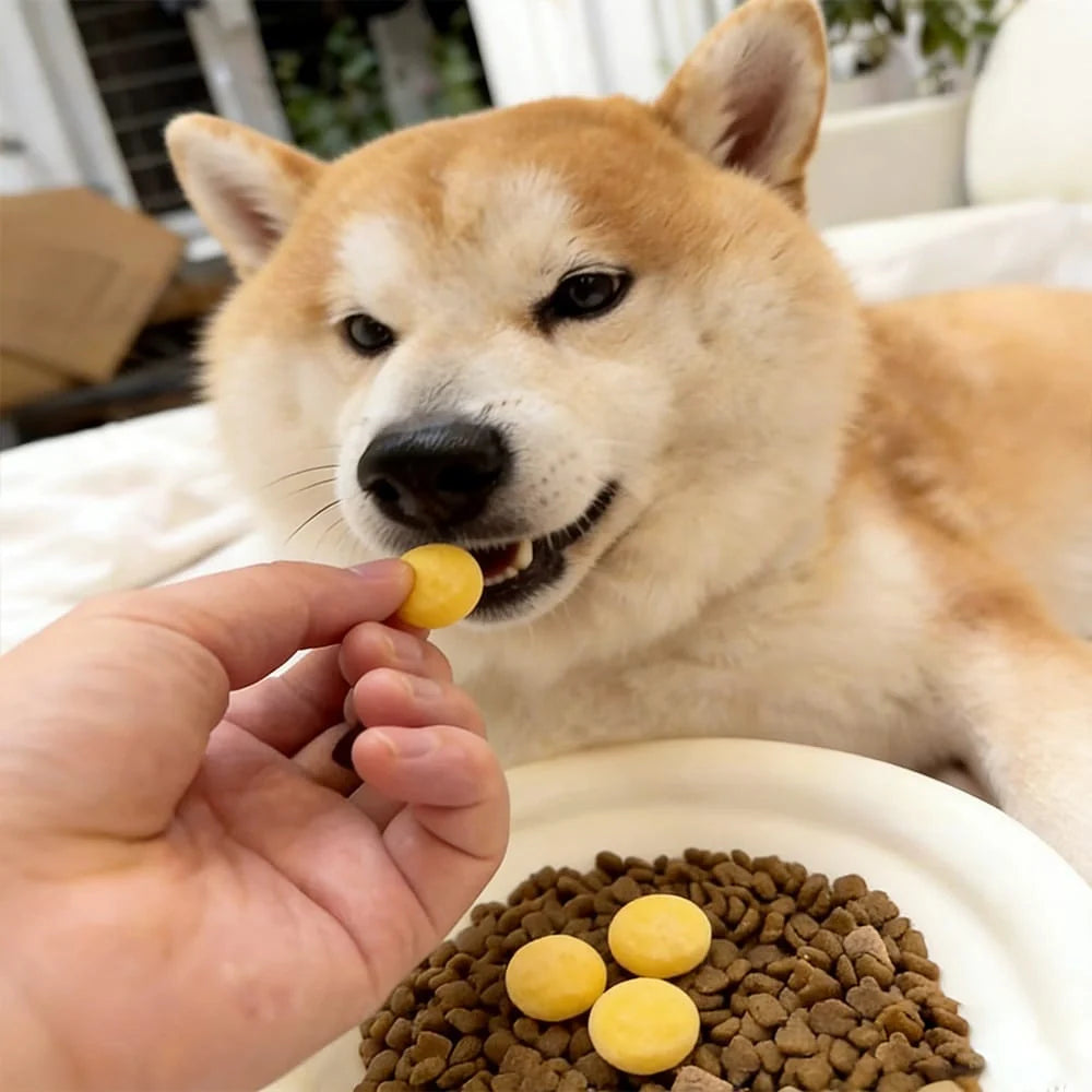 Can Dog Treats Cause Constipation? Here’s What You Should Know