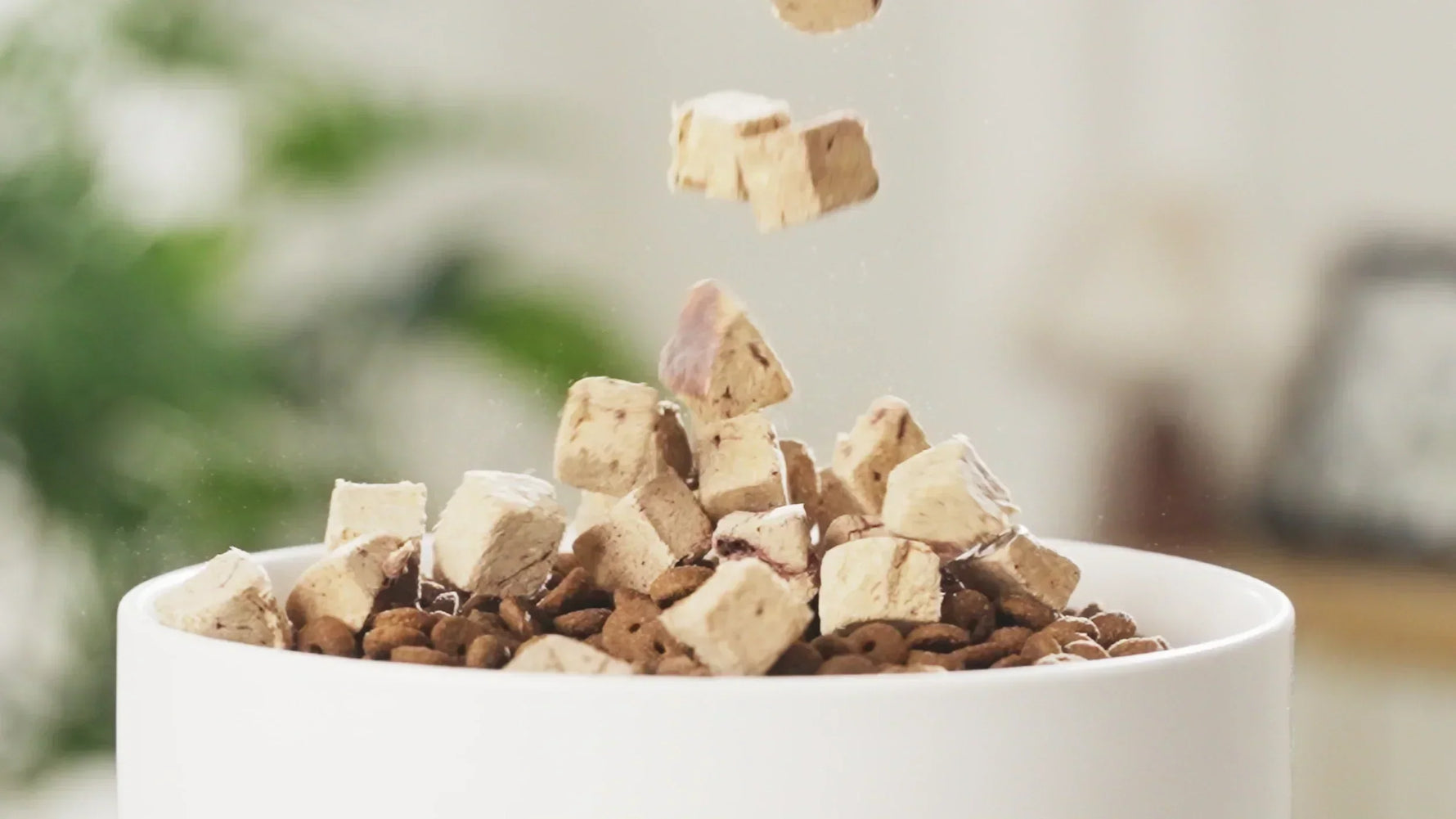 Do Dog Treats Go Stale?