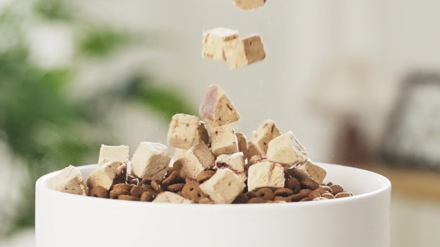 Do Dog Treats Go Stale?