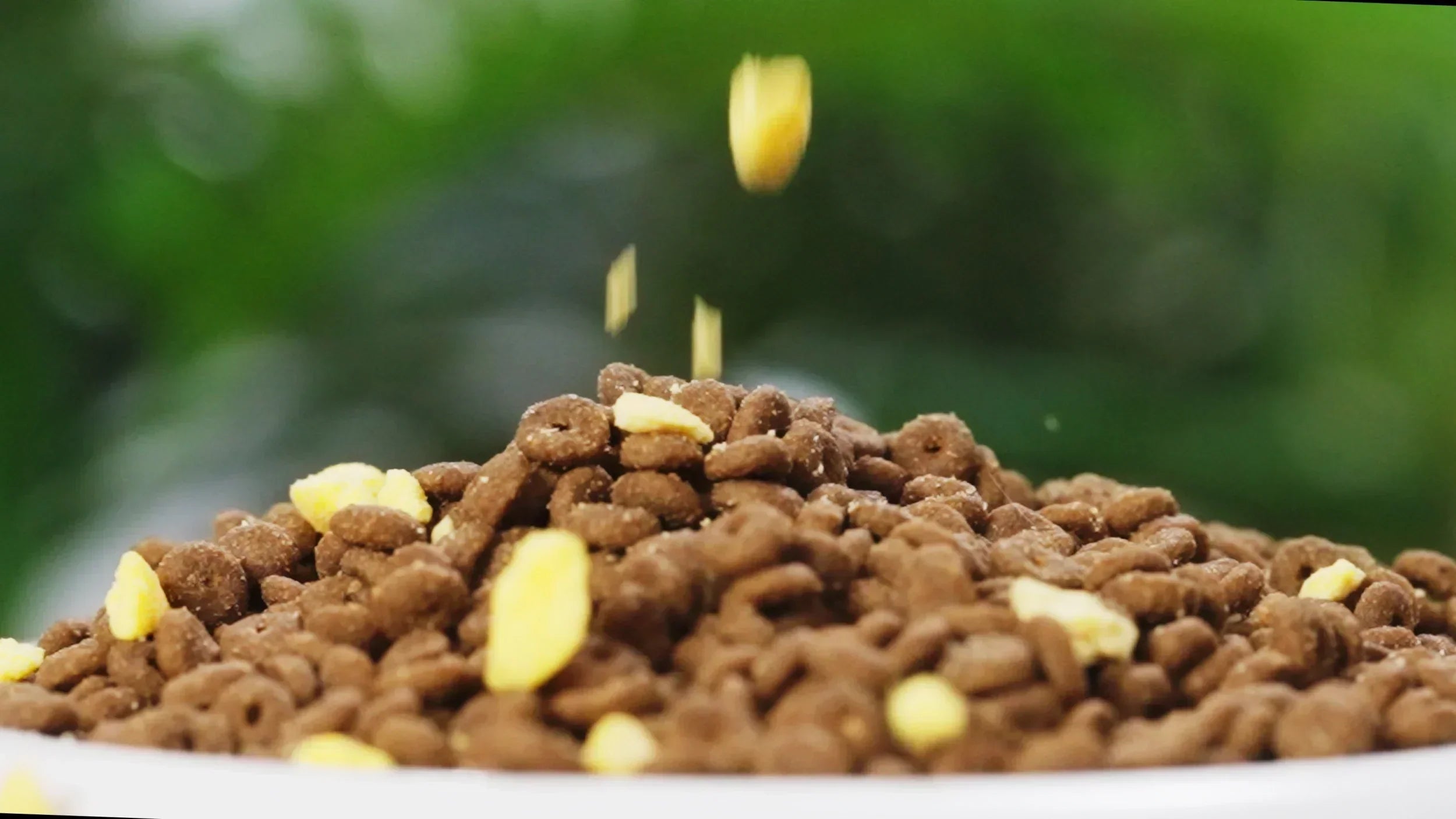 Do Dog Treats Have Nutritional Value? What You Should Really Know