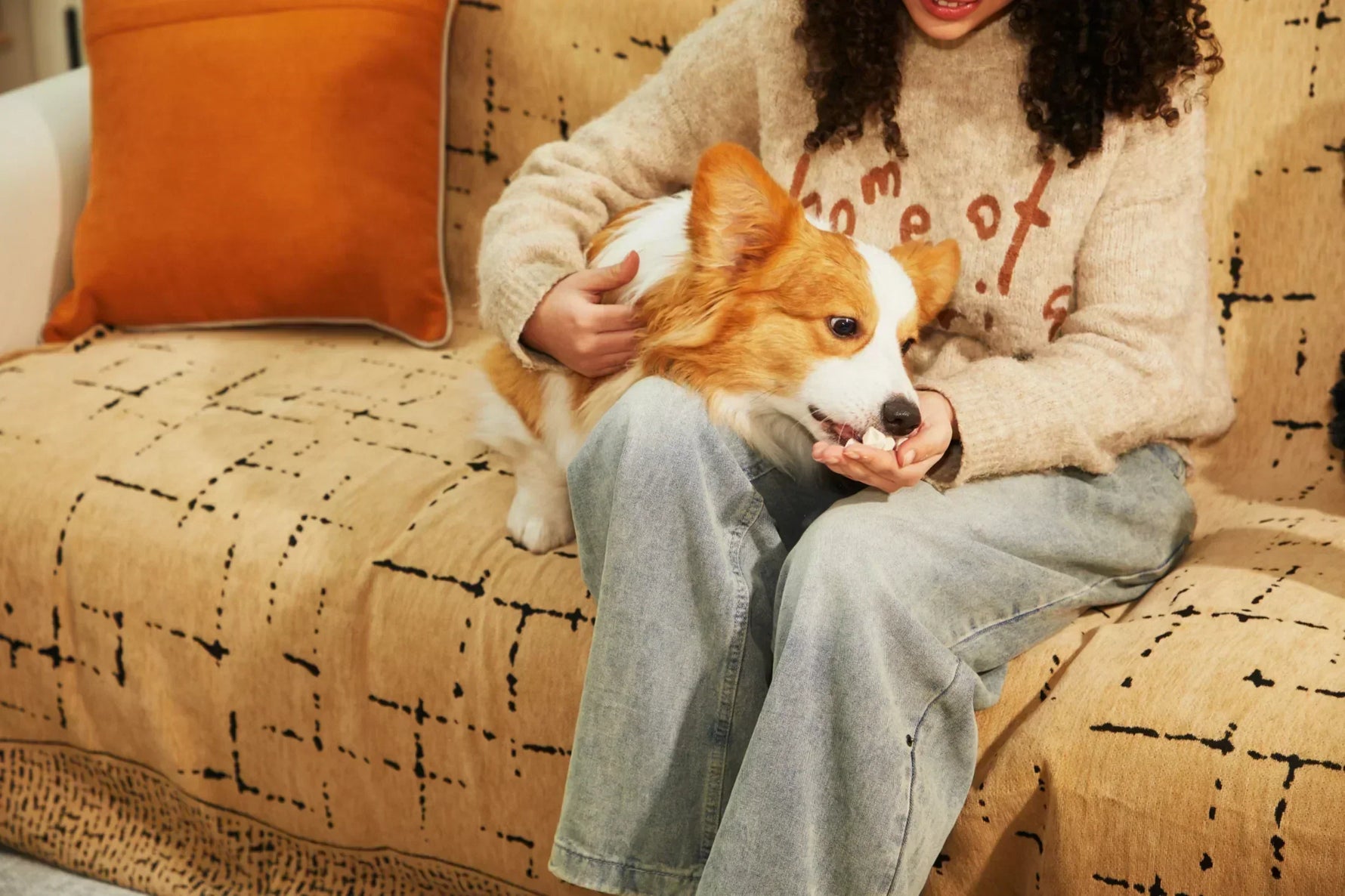 Dog Treats for Sensitive Stomachs: What to Choose