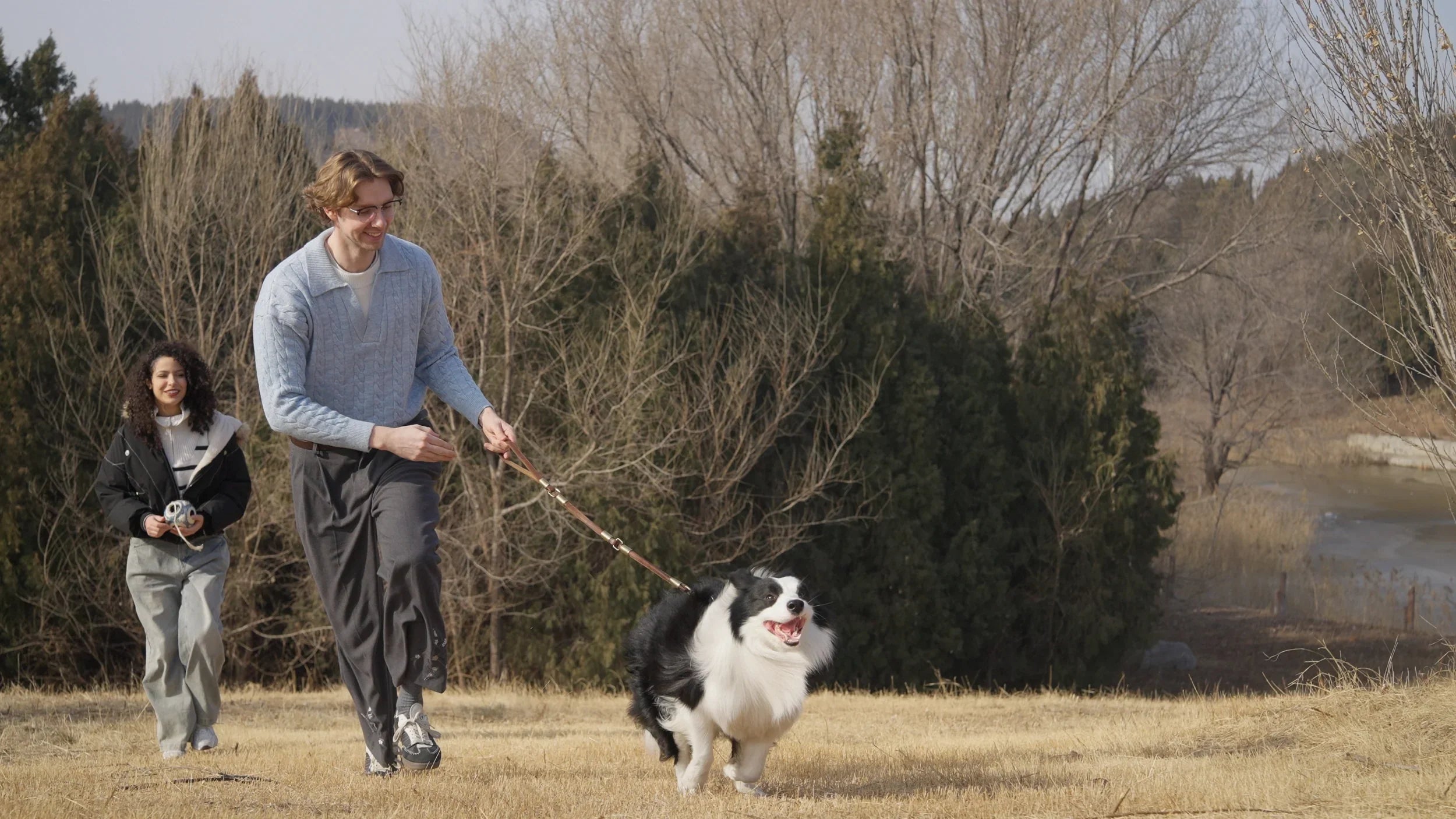 Are Dog Joint Supplements Effective?
