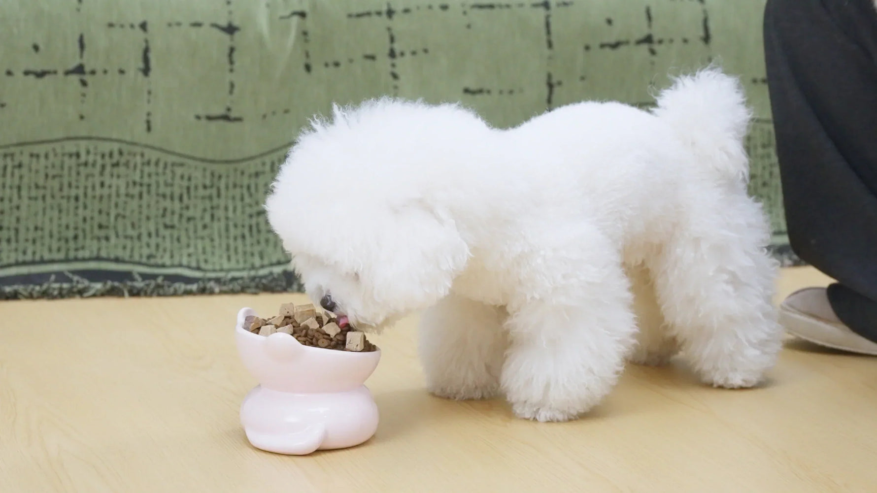 Puppy-Friendly Dog Treats for Safe Training