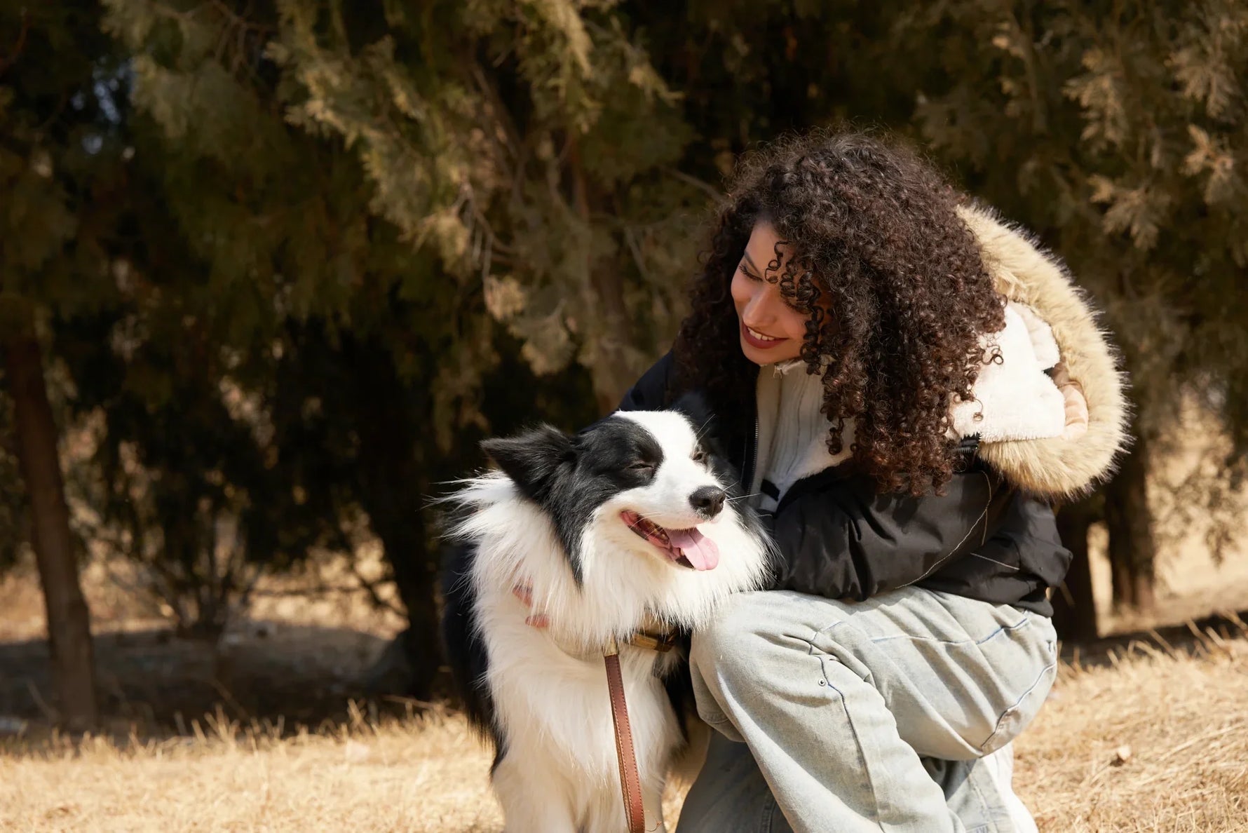 Sustainable Dog Treats: Eco-Friendly Pet Snack Options