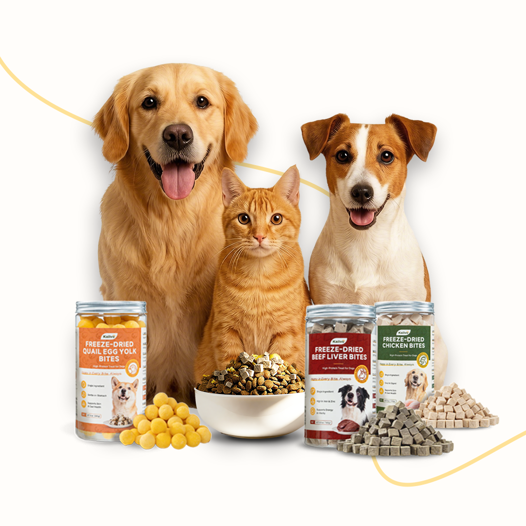 Can Dog Treats Be Given to Cats? Here’s What Pet Parents Should Know