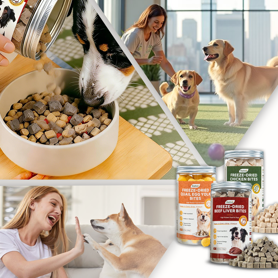 Can Dog Treats Cause Ear Infections? Here’s What’s Really Going On
