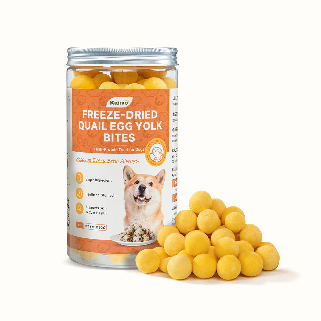Freeze-Dried Pure Quail Egg Yolk Bites