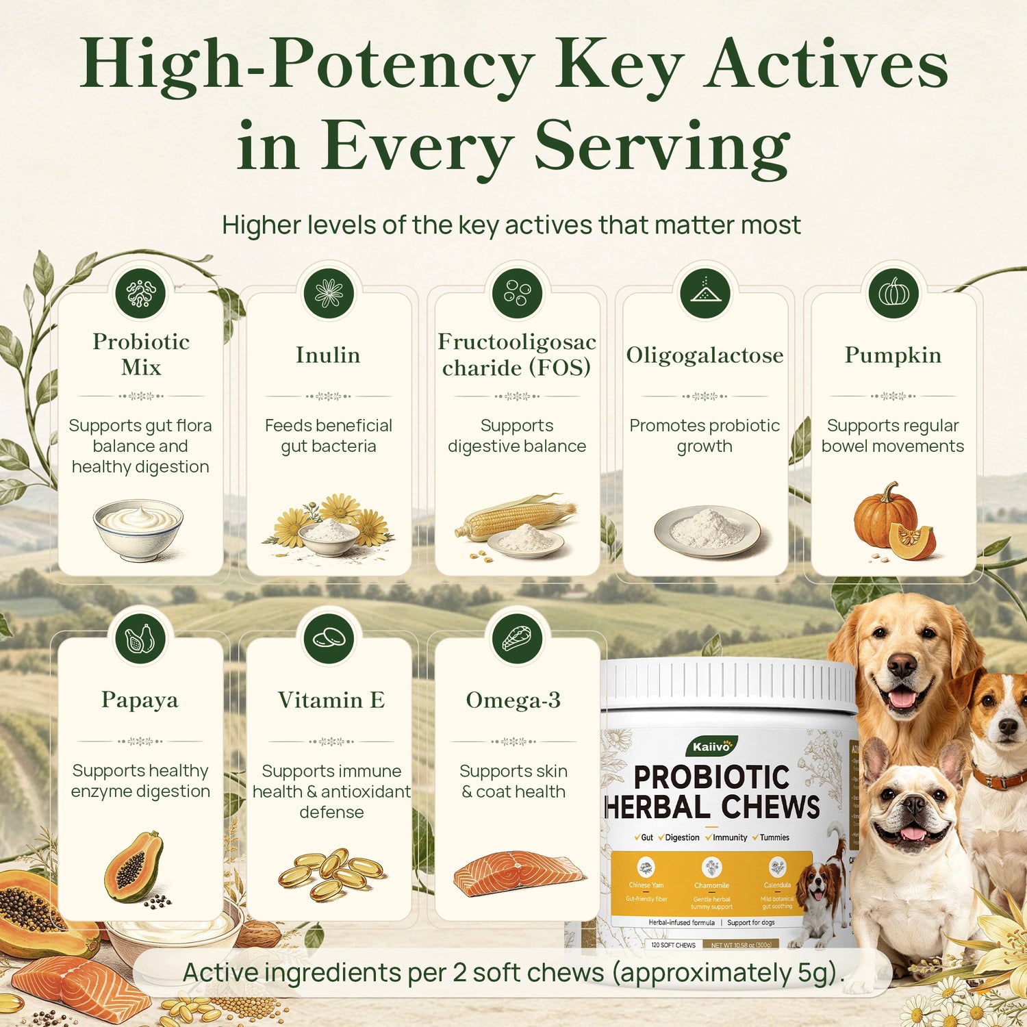 Probiotic Herbal Chews