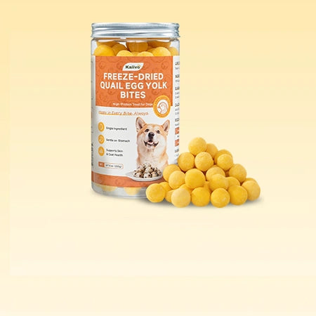 Freeze-Dried Pure Quail Egg Yolk Bites