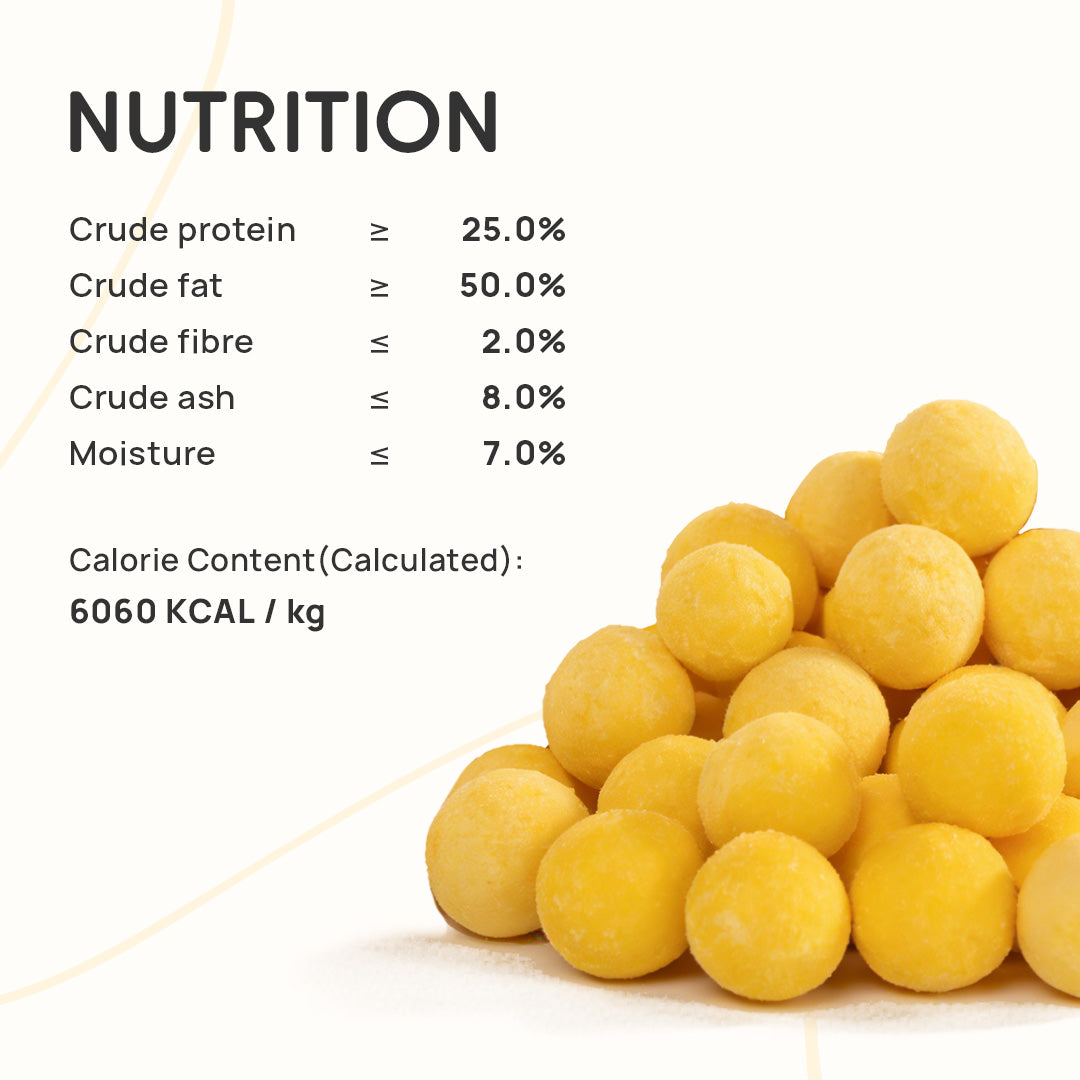 Freeze-Dried Pure Quail Egg Yolk Bites