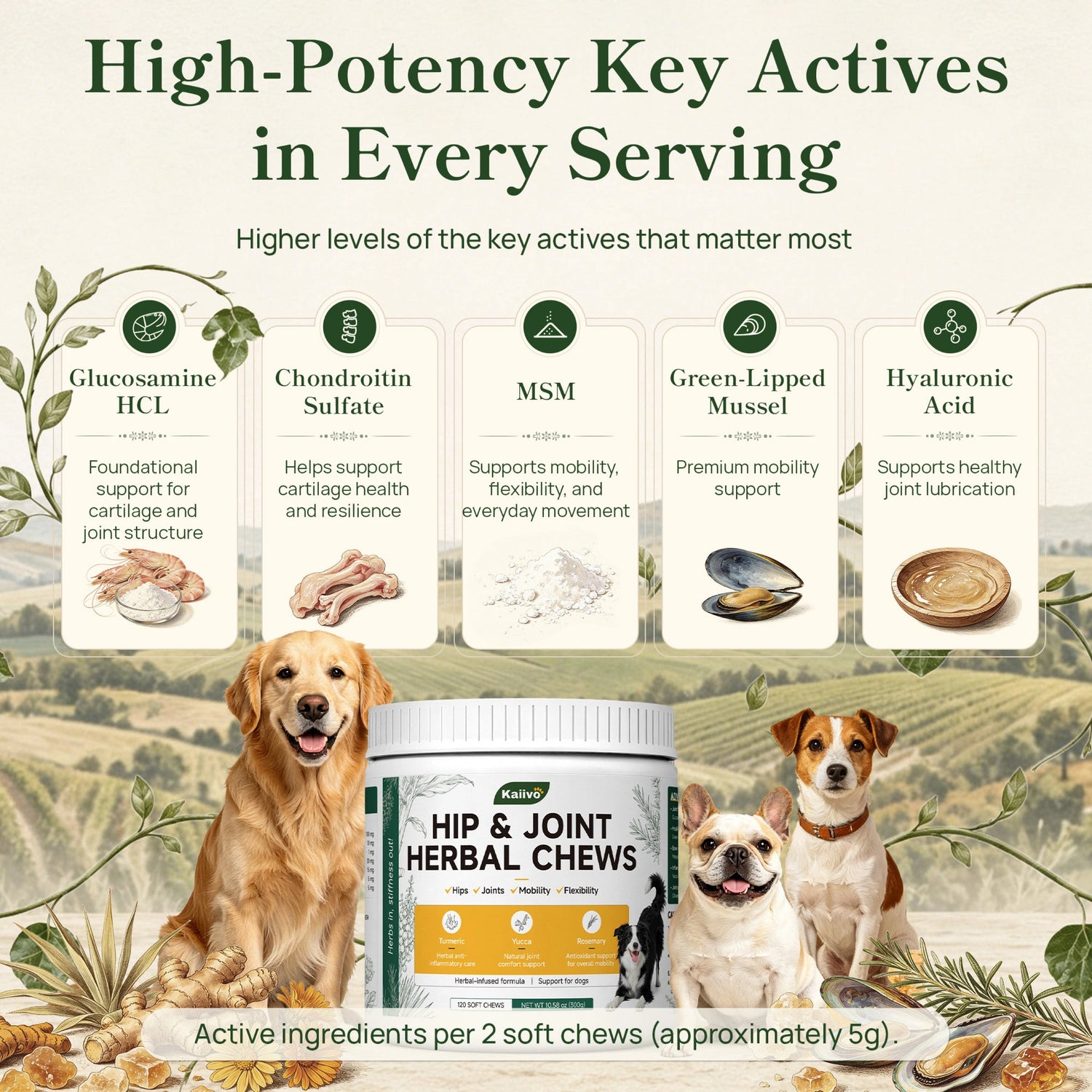 Hip & Joint Herbal Chews