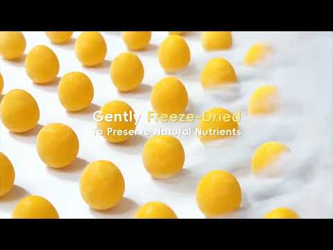 Freeze-Dried Pure Quail Egg Yolk Bites