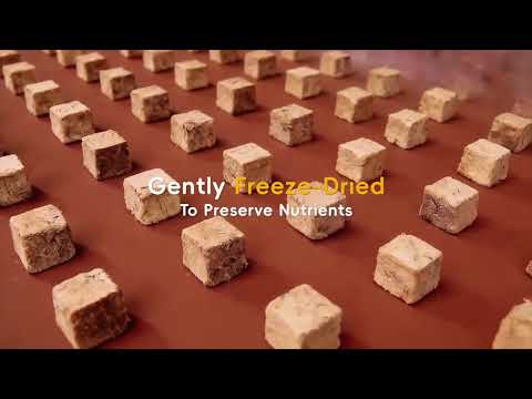 Freeze-Dried Pure Beef Liver Bites